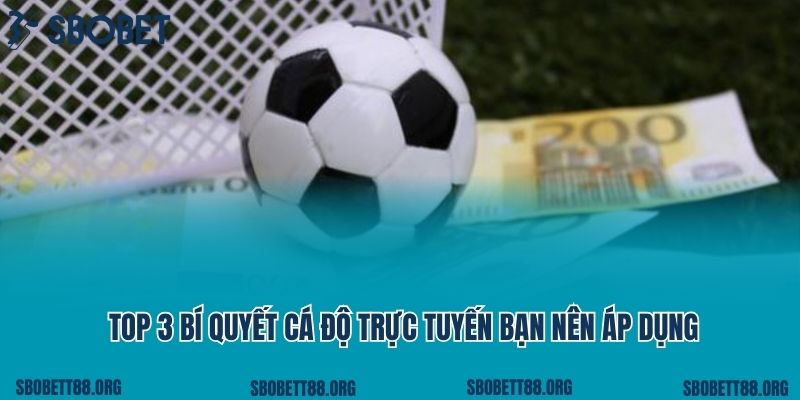 Top 3 bí quyết cá độ trực tuyến bạn nên áp dụng