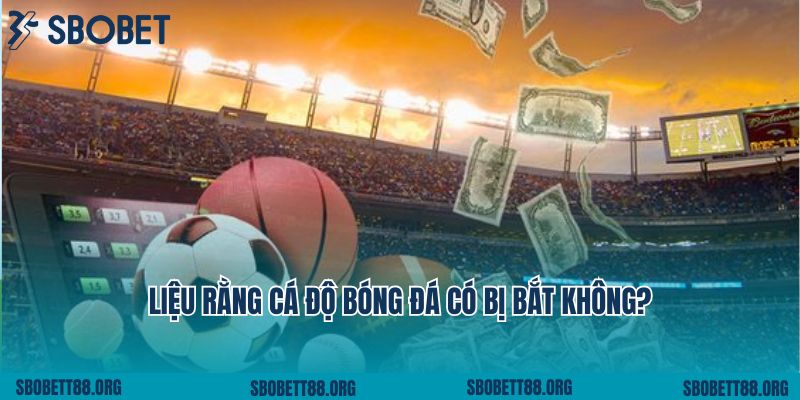 Liệu rằng cá độ bóng đá có bị bắt không?