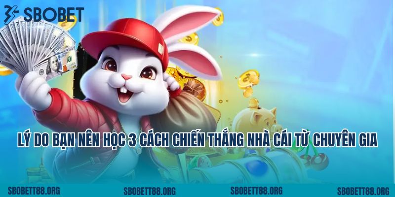 Lý do bạn nên học 3 cách chiến thắng nhà cái từ chuyên gia