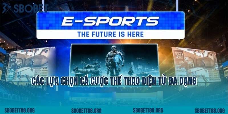 Các lựa chọn cá cược thể thao điện tử đa dạng