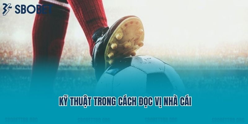 Kỹ thuật trong cách đọc vị nhà cái 