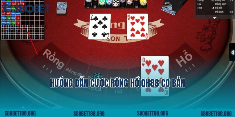 Hướng dẫn cược Rồng Hổ QH88 cơ bản cho người mới