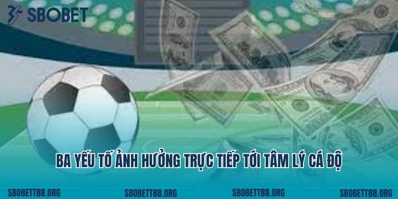 Ba yếu tố ảnh hưởng trực tiếp tới tâm lý cá độ