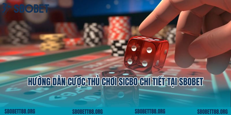 Hướng dẫn cược thủ chơi Sicbo chi tiết tại Sbobet