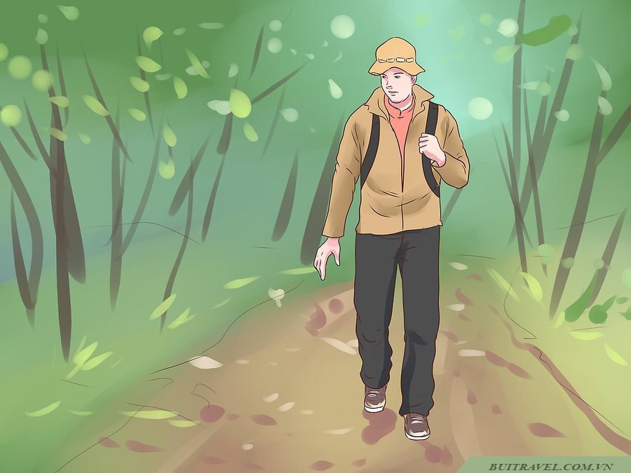 Mơ thấy bị lạc đường trong rừng